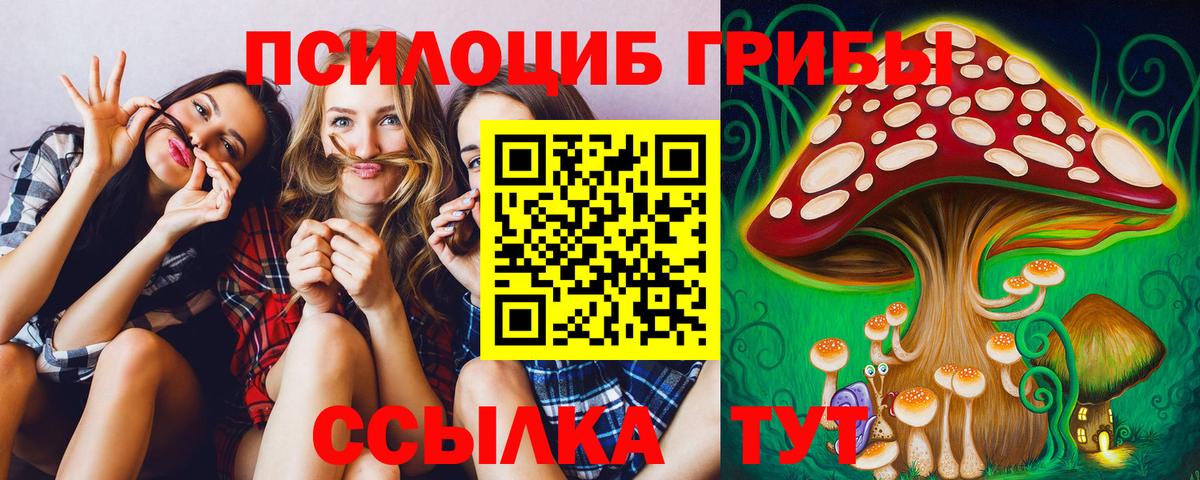 Псилоцибиновые грибы Magic Shrooms  Вход с VPN  Чистополь  Псилоцибиновые грибы Cubensis 