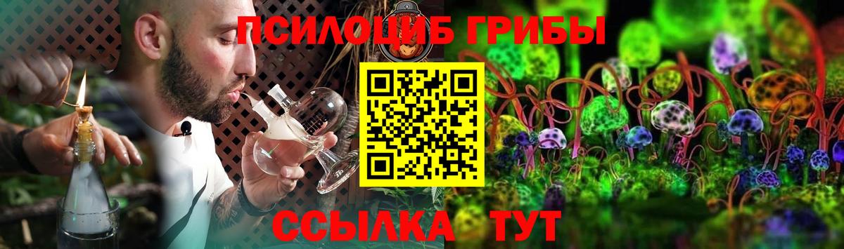 Псилоцибиновые грибы мухоморы Чистополь